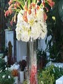 Panache Floral Design image 1