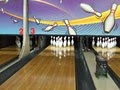Papio Bowl image 5