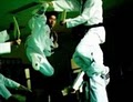 Park's Ultimate Tae Kwon DO image 3