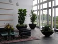 Parker Interior Plantscape/Parker Holiday image 3