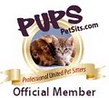 Pawsitive Attention Pet Services image 8