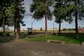 Peaceful Pines RV Park  and Campground image 4