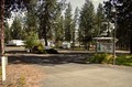 Peaceful Pines RV Park  and Campground image 6