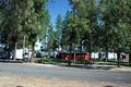 Peaceful Pines RV Park  and Campground logo