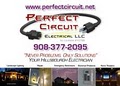 Perfect Circuit Electrical image 2