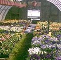 Perreault Nurseries image 2
