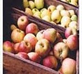 Philo Apple Farm logo