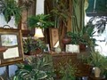 Piggott Florist image 6