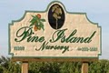 Pine Island Nursery Inc. image 1