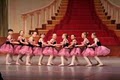 Pink Slipper Dance Studio image 2