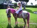 Pony Party Rides Inc image 2