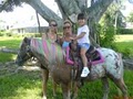 Pony Party Rides Inc image 3