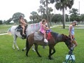 Pony Rides image 5