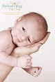 PortraitBug image 4