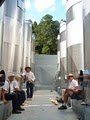 Post Familie Vineyards & Winery image 5