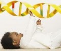 Premier Genetics Inc image 1