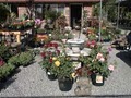 Prickly Pear Garden Center image 2