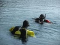 Professional Scuba Instruction image 2