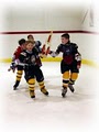 Puckmasters image 6