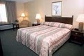 Quality Inn Airport image 7
