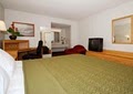 Quality Inn Natomas-Sacramento image 4