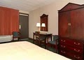 Quality Inn & Suites - Skyways image 3