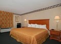 Quality Inn & Suites image 7