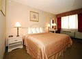 Quality Inn & Suites image 8