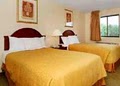 Quality Inn & Suites image 10