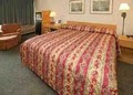 Quality Inn & Suites image 1