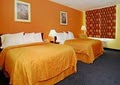 Quality Inn image 3