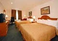 Quality Inn image 4