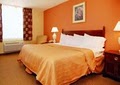 Quality Inn image 4