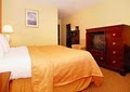 Quality Inn image 5