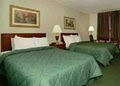 Quality Inn image 6