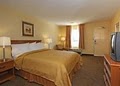 Quality Inn image 6