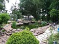 Quality Ponds image 1