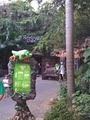 Rainforest Cafe - Disney Animal Kingdom image 2