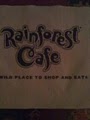 Rainforest Cafe image 2