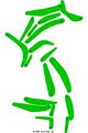 Raven Rock Golf Course logo