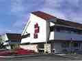 Red Roof Inn image 10