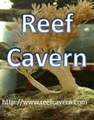 ReefCavern.com logo