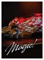 Rick Wilcox Magic Theater image 3