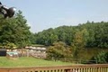 Roaring Ridge "Camp" Vacation Rental image 4