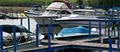 Rose Harbor Marina image 2