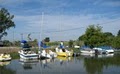 Rose Harbor Marina image 4