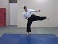 Ryukyu Kempo Shinkikan Dojo image 3