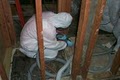 SOS Mold / TruPro Remediation Services Group image 6