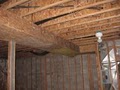 SOS Mold / TruPro Remediation Services Group image 7