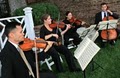 Sage String Quartet image 9